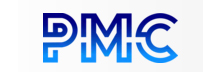 Production Modeling Corporation