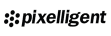 Pixelligent - Top NanoTech Solution Companies Pixelligent